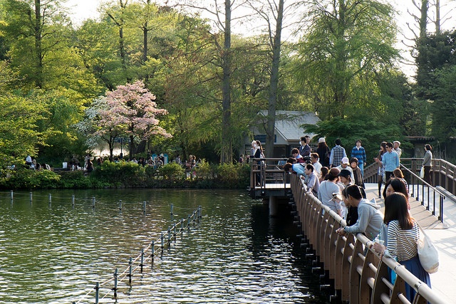静かな公園で起きた凄惨な事件だっがが……