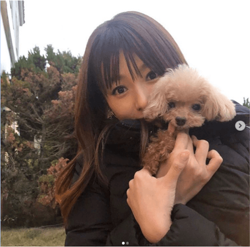深田恭子、「新たな元号のもと…」愛犬との2ショットで新年の抱負語る