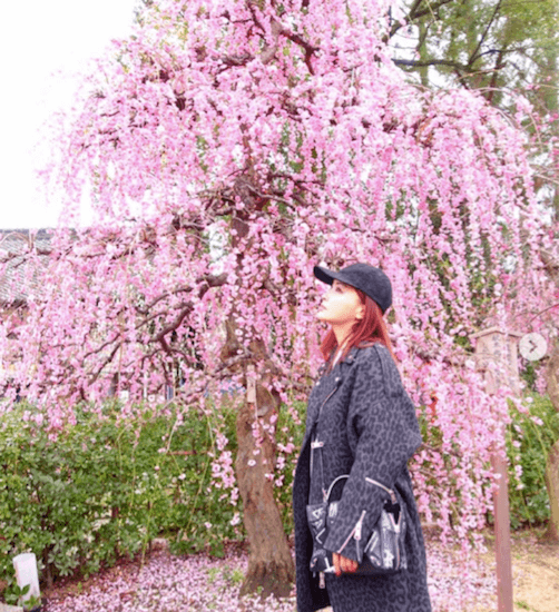 平子理沙、梅の花とピンク髪の組み合わせに称賛の声「アラフィフに見えない！」