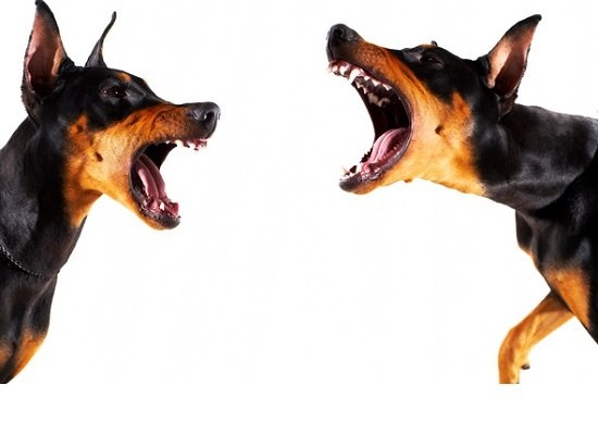 「Thinkstock」より