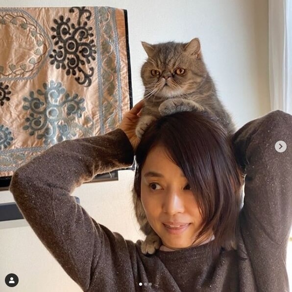 これは癒される！石田ゆり子、猫を肩に乗せた“かたぐるま姿”に大反響