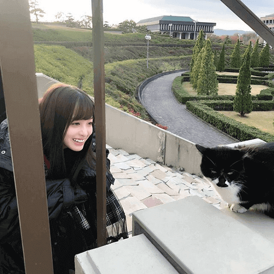 橋本環奈、猫を見つめる姿に絶賛の嵐「可愛いの極み」「最高の組み合わせ」