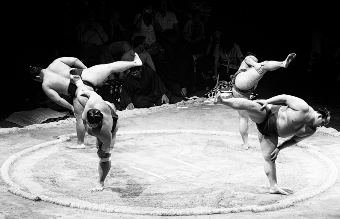日馬富士の格闘家転向はあるのか? photo by Edward Dalmulder(写真はイメージです)