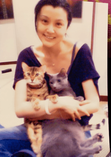 藤原紀香、愛猫との別れ報告で大反響「猫ちゃんも幸せだったと思います！」
