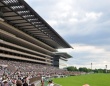 競馬の祭典・日本ダービー