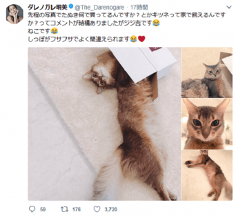 ツイッター:ダレノガレ明美(@The_Darenogare)より