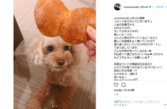 インスタグラム:佐々木希(@nozomisasaki_official)より