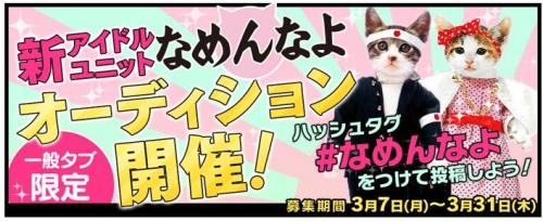 新アイドルユニット なめんなよ オーディション開催 あの なめ猫 がもう一度一世風靡する 記事詳細 Infoseekニュース