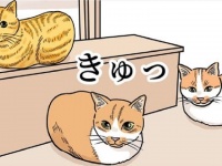 「ダメだ...すぐ丸い生き物になっちゃう！」　猫が〝人の立てる音〟を学習した結果がコチラです