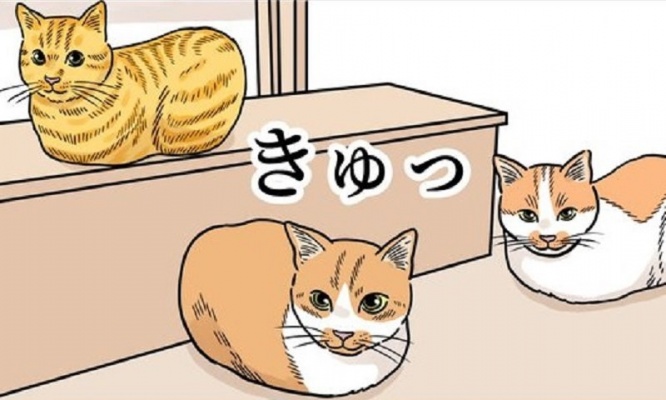 「ダメだ...すぐ丸い生き物になっちゃう！」　猫が〝人の立てる音〟を学習した結果がコチラです