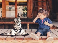 飼い猫が自閉スペクトラム症の子供の症状を改善してくれるという研究結果