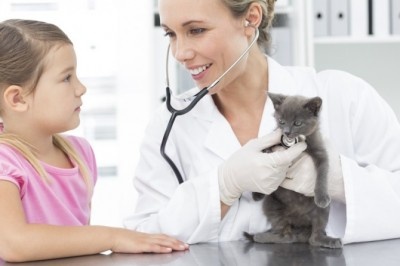 原因がわからなくて右往左往……！　ペットを飼う上でのトラブルや困ったこと4つ