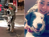 あれから1年後・・・女性兵士が帰国してすぐ空港で、愛犬との感動の再会（アメリカ）