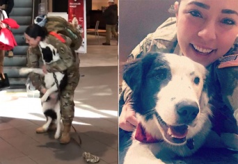 あれから1年後・・・女性兵士が帰国してすぐ空港で、愛犬との感動の再会（アメリカ）