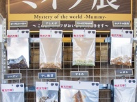 写真はひらかたパーク提供。以下同