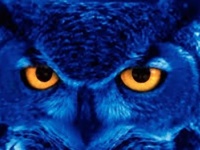 夜更かし・朝寝坊タイプに意外な事実？通常の睡眠パターンから逸脱している人に高い知性と想像力を備えている傾向（各国研究）