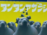 〝迫りくるアザラシの群れ〟表す擬音に4万人がニッコリ　福岡の水族館ポスターが秀逸すぎて行きたくなる