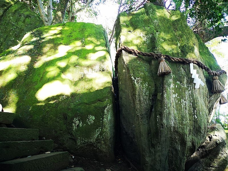 確かに似てる？（漱石の猫さん撮影、WikimediaCommonsより）