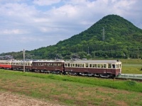 新緑の中を快走する4両のレトロ電車。右から500号・300号・120号・23号。（lofterぱっしょんと?ぶ（passiontobu8571