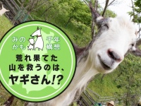株式会社サーチフィールドのプレスリリース画像