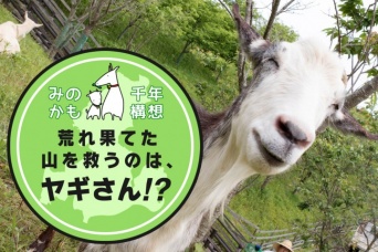 株式会社サーチフィールドのプレスリリース画像