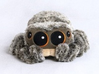 クモ嫌いがなおるかも！お目目ぱちくりにデフォルメされた「ルーカス・ザ・スパイダー」のぬいぐるみがナウオンセール！