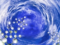 20万種近い未知のウイルスが海で発見される。これまで発見されていた既知のウイルスの数を上回るほどの数