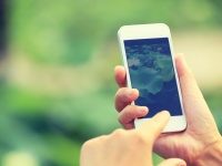 ​JOYがiPhoneのsiriに話しかけて平成狸合戦ぽんぽこと応えられる