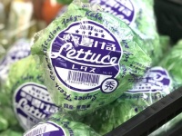 レタスに文字が書けるだとぅ？フレッシュな生野菜的レタスそっくりのメモ帳が販売中