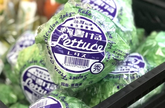 レタスに文字が書けるだとぅ？フレッシュな生野菜的レタスそっくりのメモ帳が販売中