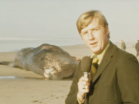 伝説となった50年前の「クジラ爆破解体」映像をリマスター、高画質バージョンが公開される