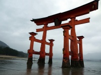 厳島神社の大鳥居（Dai Fujiharaさん撮影、Flickrより）