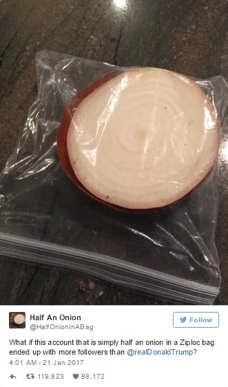 トランプ大統領より多くのフォロワー獲得を目指して、半分に切った玉ねぎがツイッターアカウントを開設!?