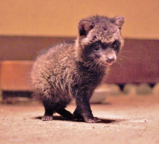 （写真はみなみなみなさん提供）