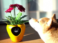 植物版バウリンガルみたいなものなのか？植物の気分をアニメーションで伝えるスマート植木鉢が販売決定