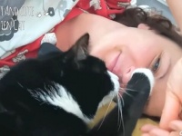 今年も冬がやって来た「かまって欲しいニャ！」な猫たちとぬくぬく過ごす幸せな飼い主たち