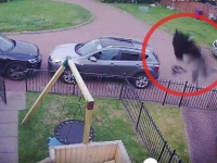 監視カメラが2回とらえた、庭をうごめく黒い影。恐怖に怯える住人は司祭に祝福を頼む