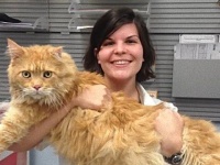 優しくって頼りになる！動物のお医者さんと患者たちの写真集