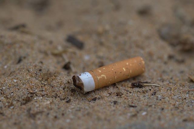 Detritus