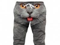 下半身の中心で猫が舌をペロリ？インパクトと猫的愛情にあふれたスウェットパンツが販売されている件