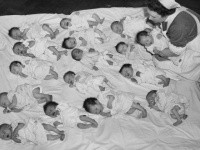 第二次世界大戦後に起きた、世界的のベビーブームを記録した歴史的写真