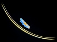 ​最強生物はクマムシ