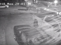 もはやバイオテロ。アメリカで吹雪のような花粉の飛散が観測される。