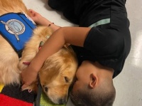 銃乱射事件で心に傷を負った子供たちのために、セラピー犬が派遣される