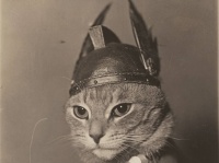 「ニーベルンゲンの指環」のブリュンヒルデに扮した猫の写真を無料ダウンロード公開