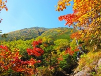 ​高野山が色づく。登山好きの芸能人に会えるかも