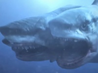 『午後ロー』7月恒例「サメ特集」キター！第１弾「3つの頭を持つサメ」が暴れまくる『トリプルヘッド・ジョーズ』が豪快すぎて視聴者騒然