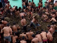 牛糞を投げあい牛糞にまみれる。インド伝統行事「ディワリ祭」