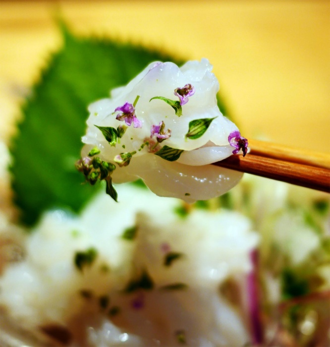 uokatsu-ginza7