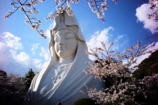 一般財団法人ジャパンギビングのプレスリリース画像